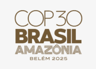 Image / illustration