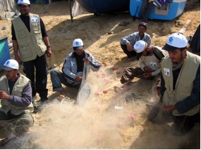 Image / illustration