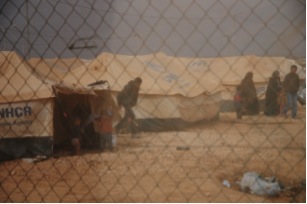 Image / illustration