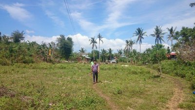 Image / illustration