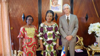 Image / illustration