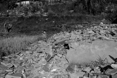 Image / illustration