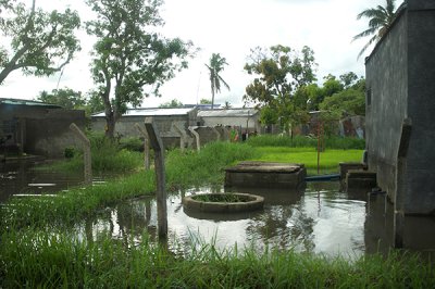 Image / illustration