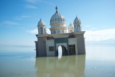 Image / illustration