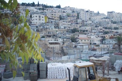 Image / illustration