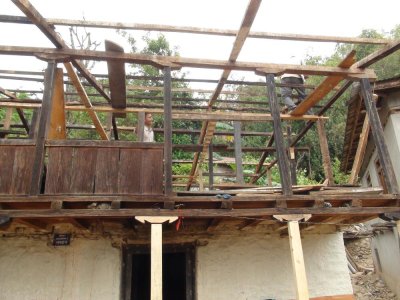 Image / illustration