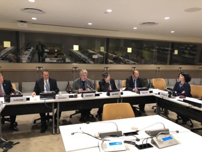 Image / illustration