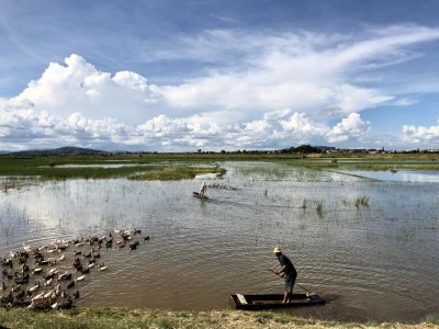 Image / illustration