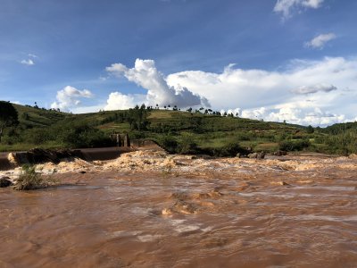 Image / illustration