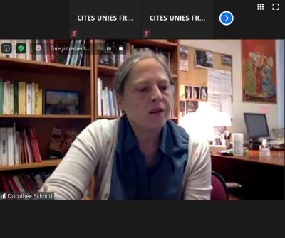 Image / illustration