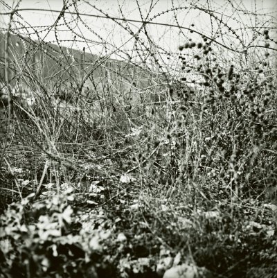 Image / illustration